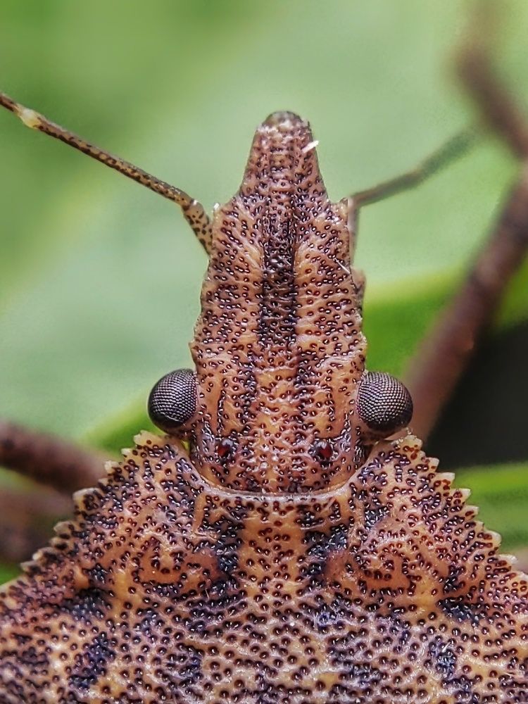 Photograph by Sai Pixels