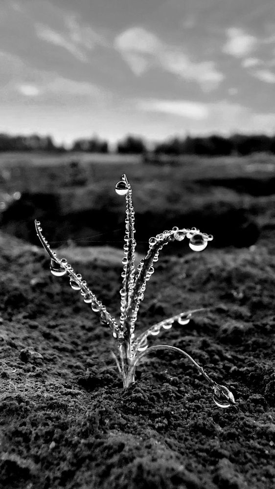 Photograph by Ангелина