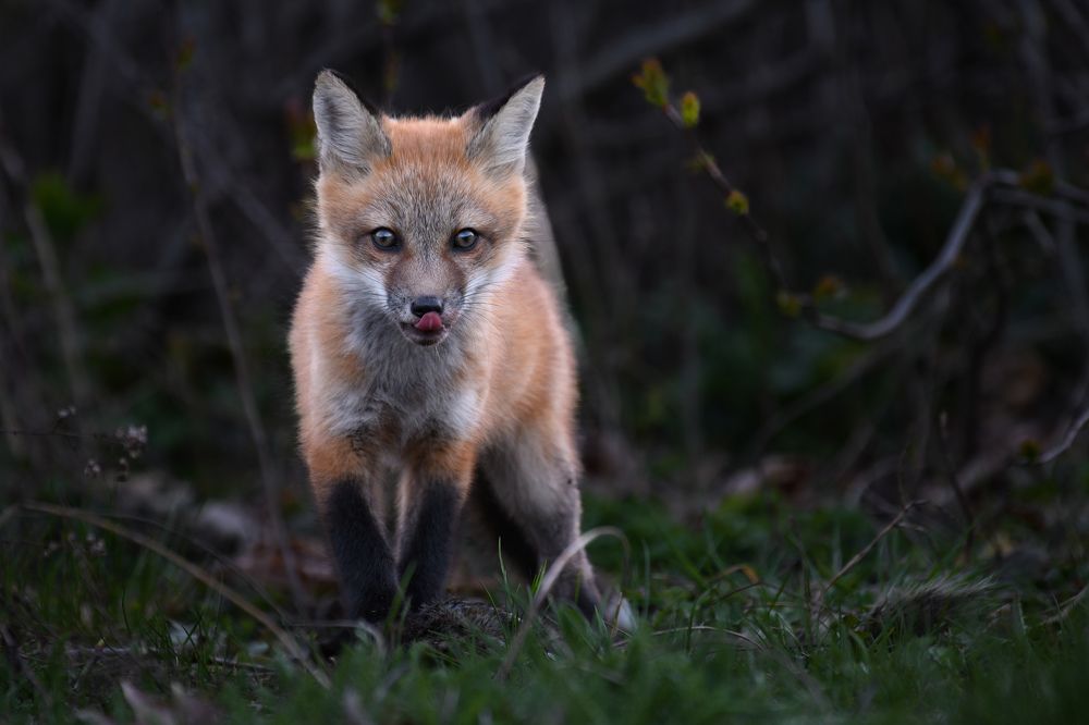 Photograph by Nathalie Talbot