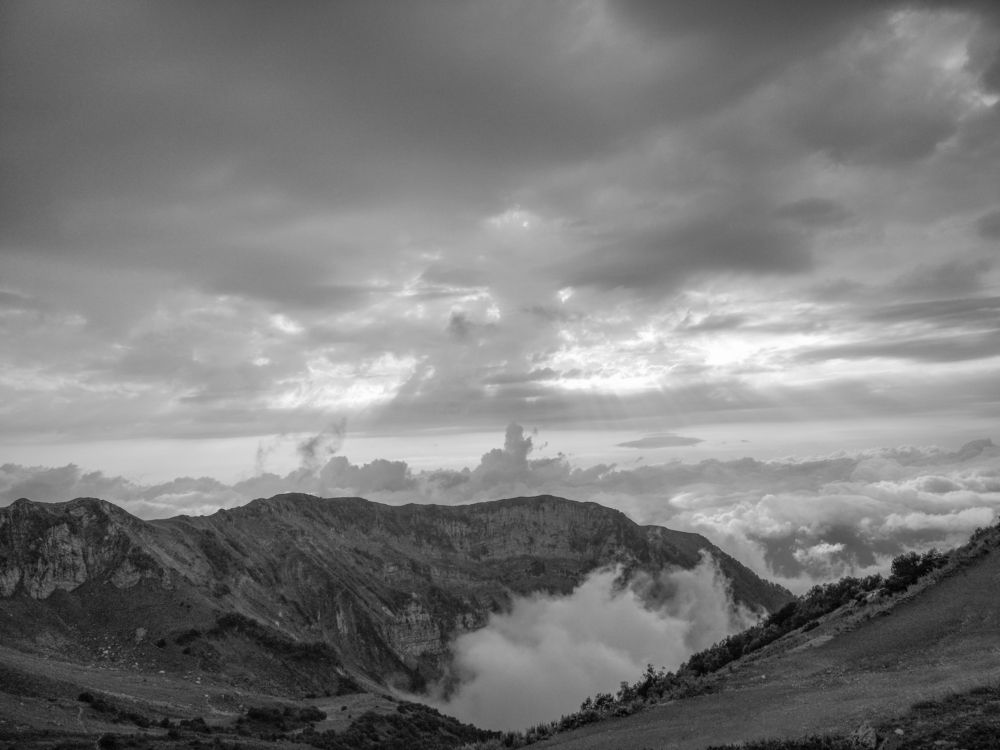 Photograph by Алексей Гуминский