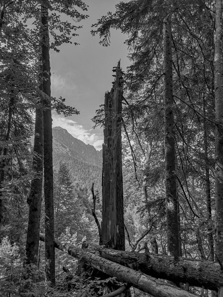 Photograph by Алексей Гуминский