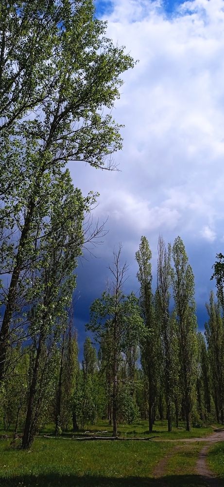 Photograph by Герман Шавин