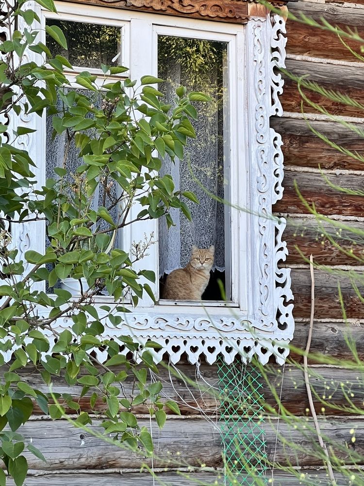 Photograph by Алсу Юсупова