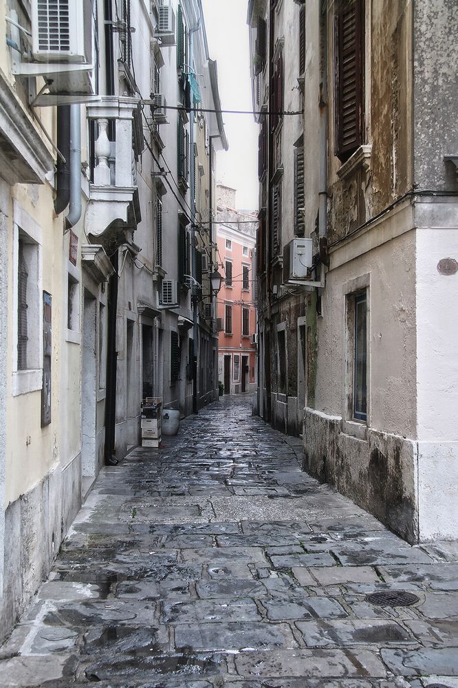 В Пиране после майского дождя