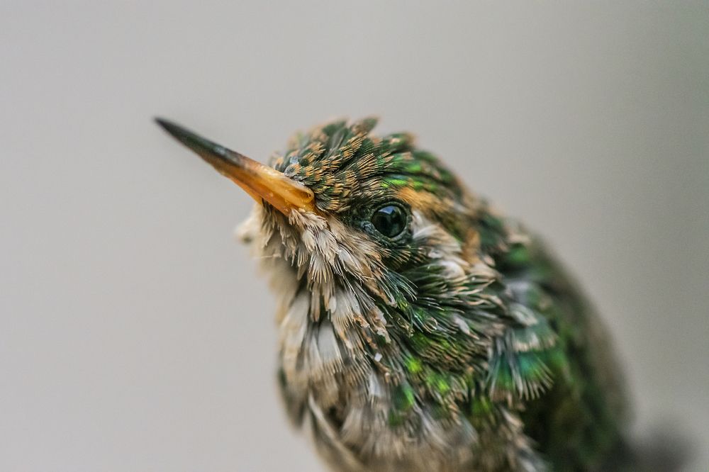 Photograph by Soledad Tessore