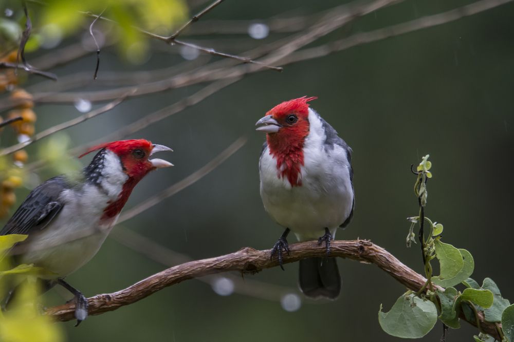 Photograph by Soledad Tessore