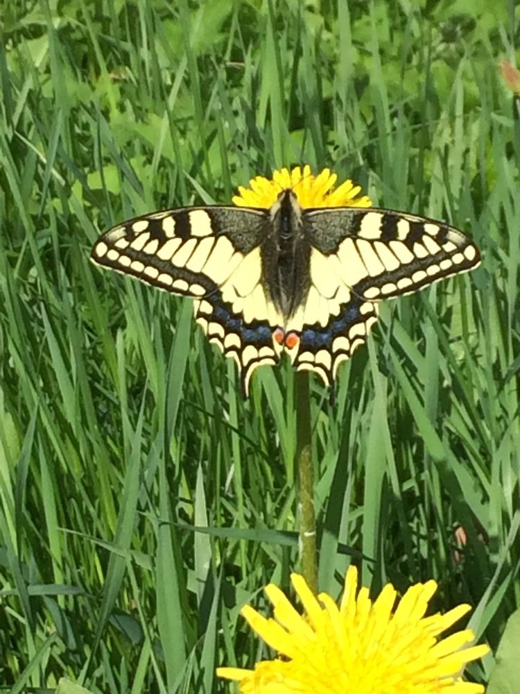 Photograph by Антонина Михалёва