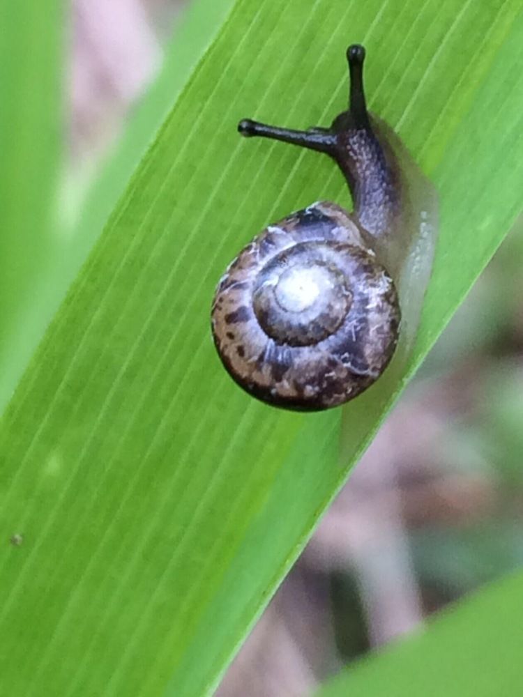 Photograph by Антонина Михалёва