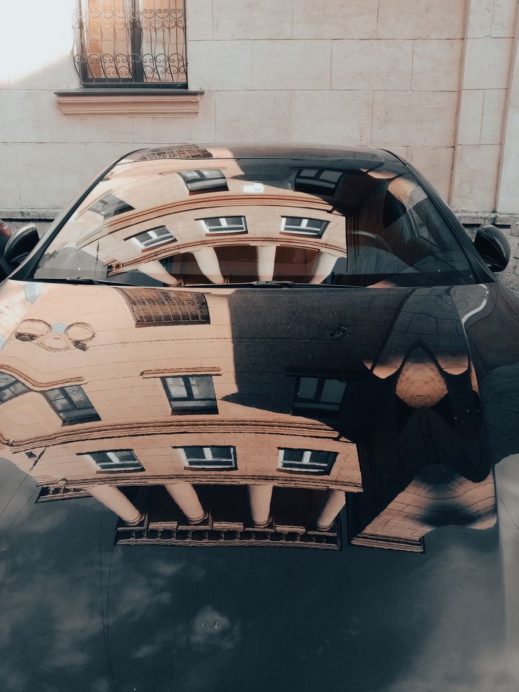 Photograph by Сафронова Любовь