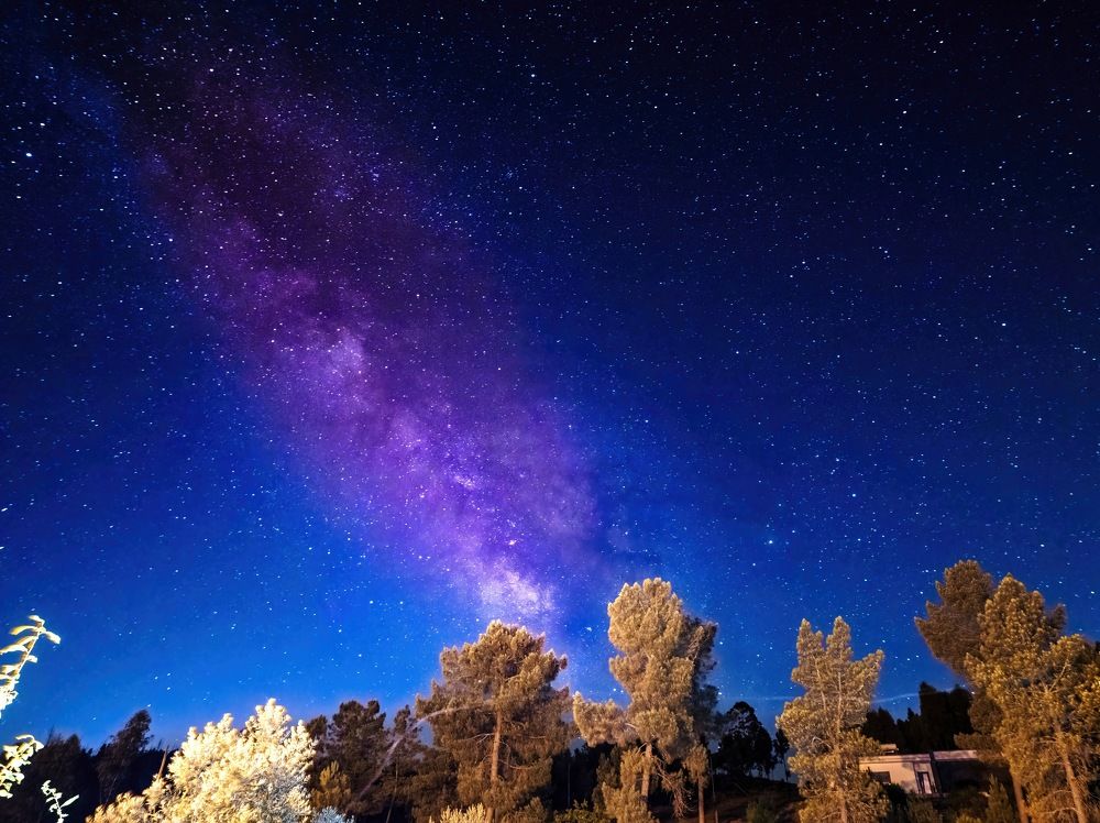 Photograph by Наталья Пирогова