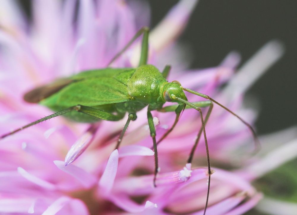 Photograph by Ирина Протченко