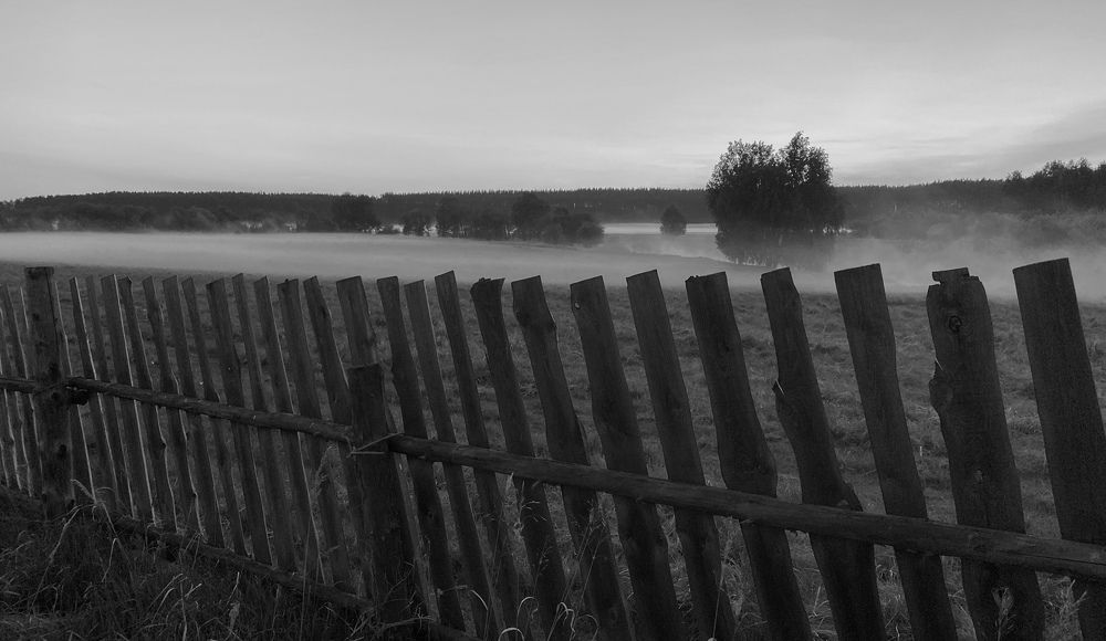 Туман за околицей