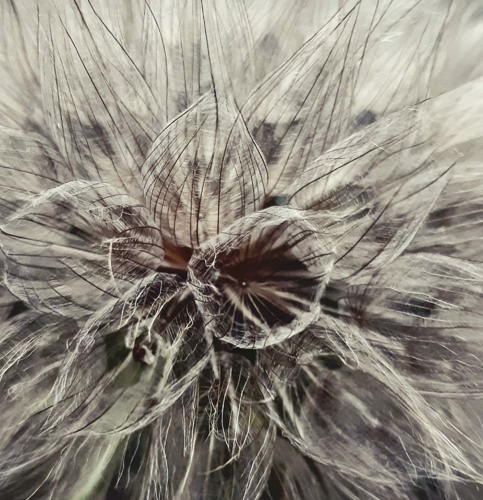 Photograph by Ольга