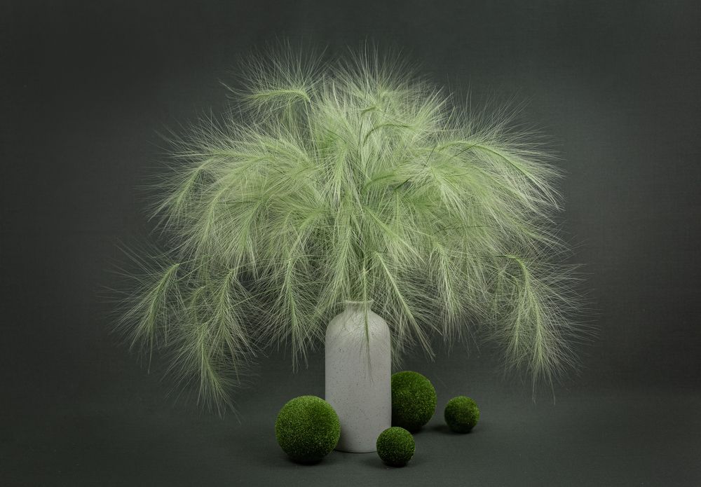 Photograph by Марина Бердяева