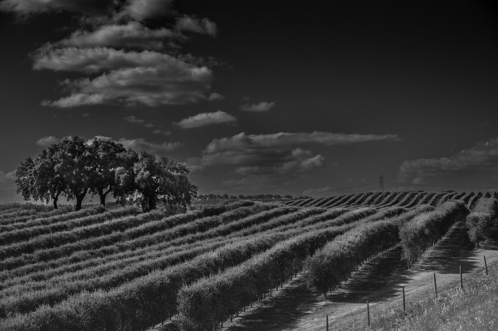 Photograph by Наталья Пирогова