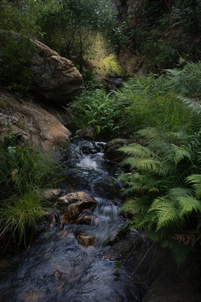 Photograph by Наталья Пирогова