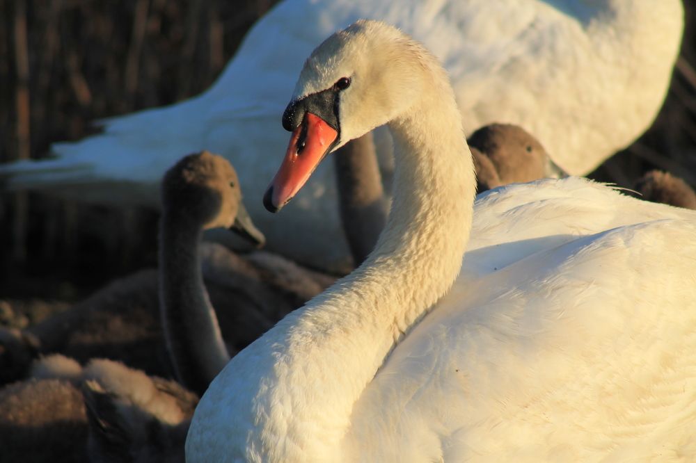 Photograph by Марина Кравцова