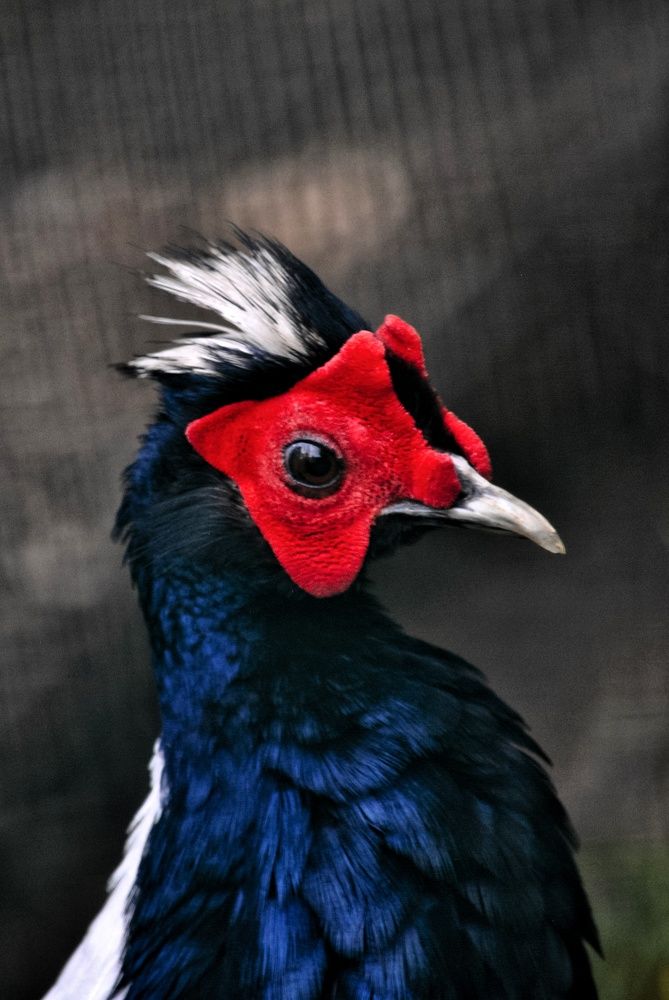 Photograph by Marian Lázaro