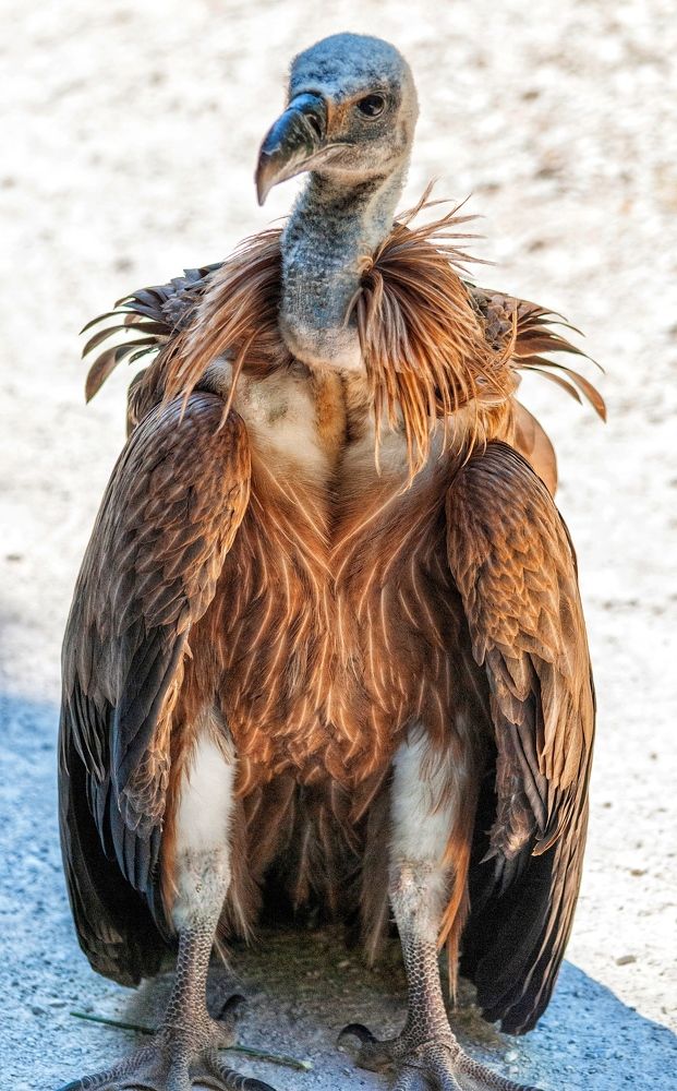 Photograph by Marian Lázaro