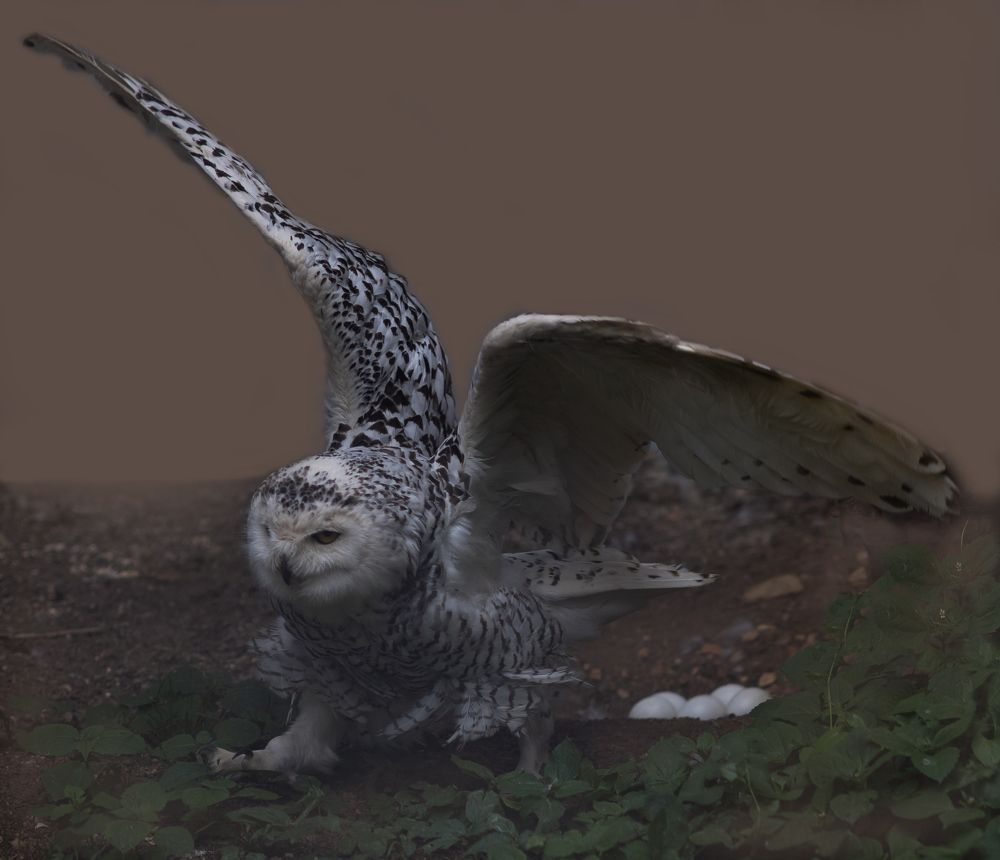 Photograph by Виктория Янушанис