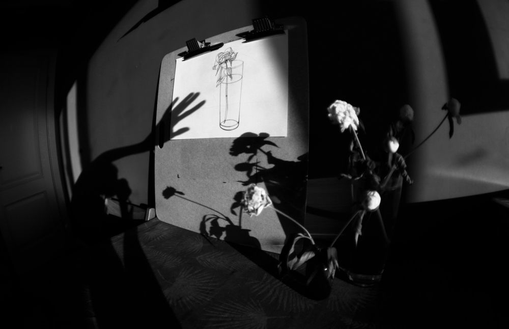 Photograph by Аня Степанова