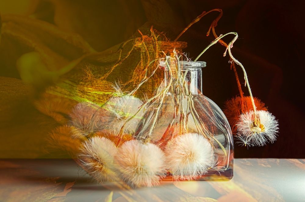 Photograph by Kveta Novotna