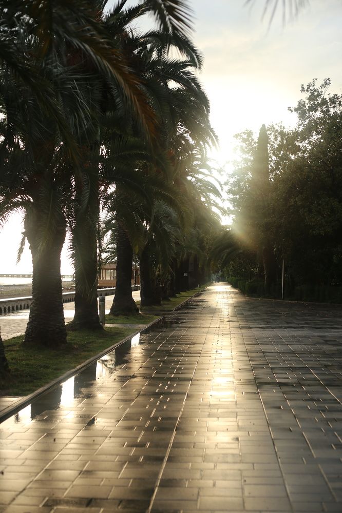 Photograph by Альбина Закирова