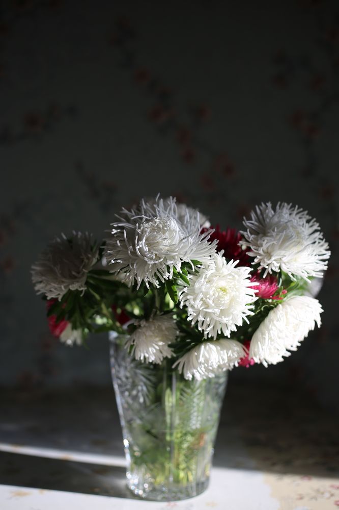 Photograph by Альбина Закирова