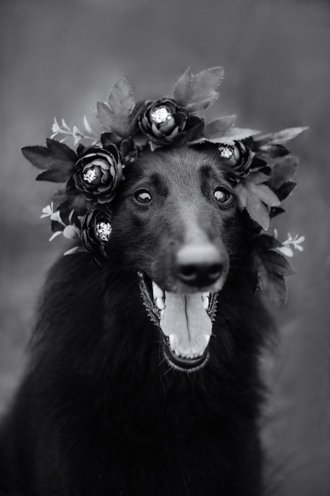 Фотография автора Вика Сердюкова