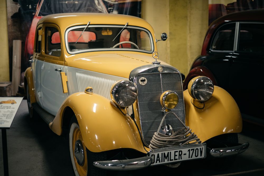 Фотография автора Вика Сердюкова