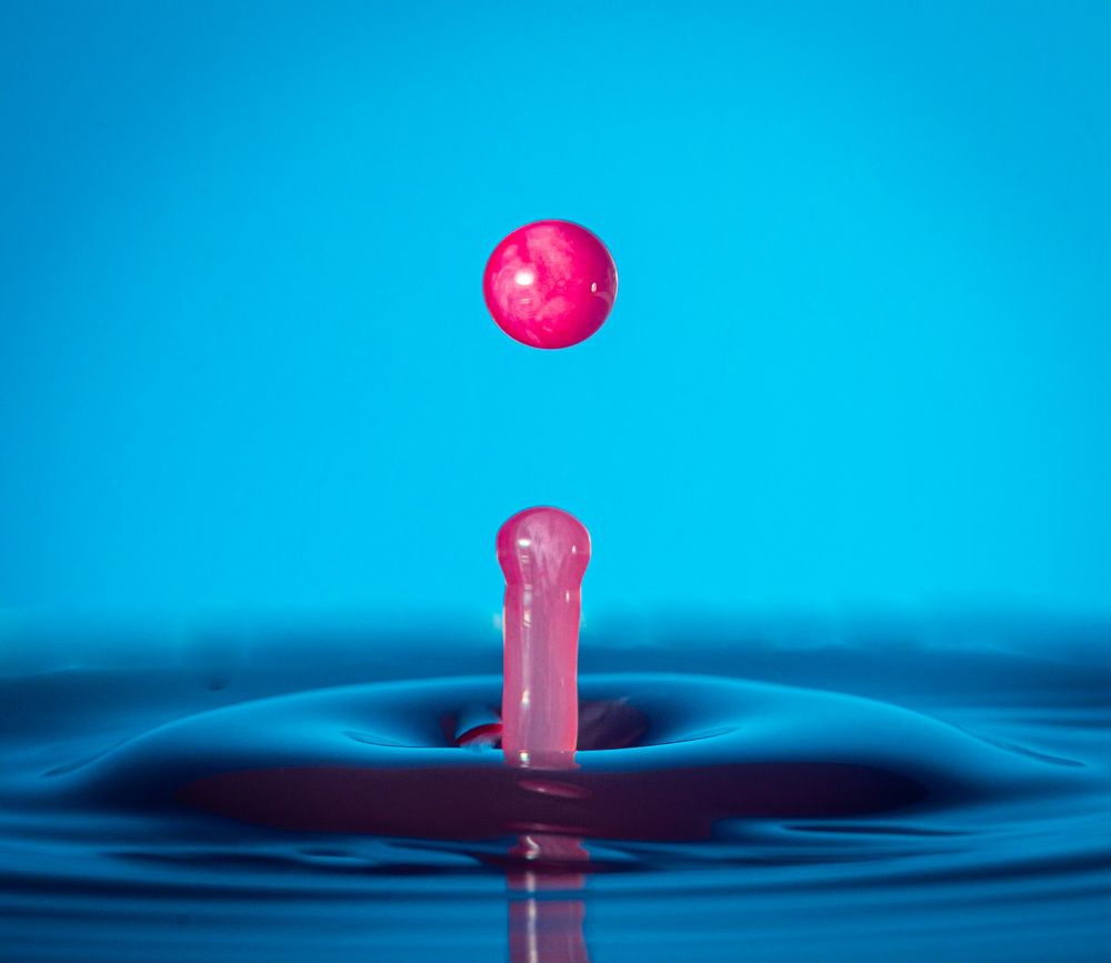 Photograph by Thomas Dunston