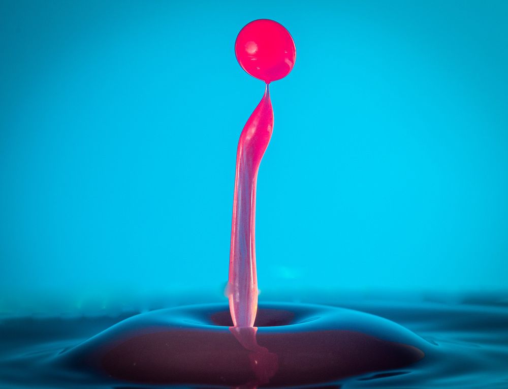 Photograph by Thomas Dunston