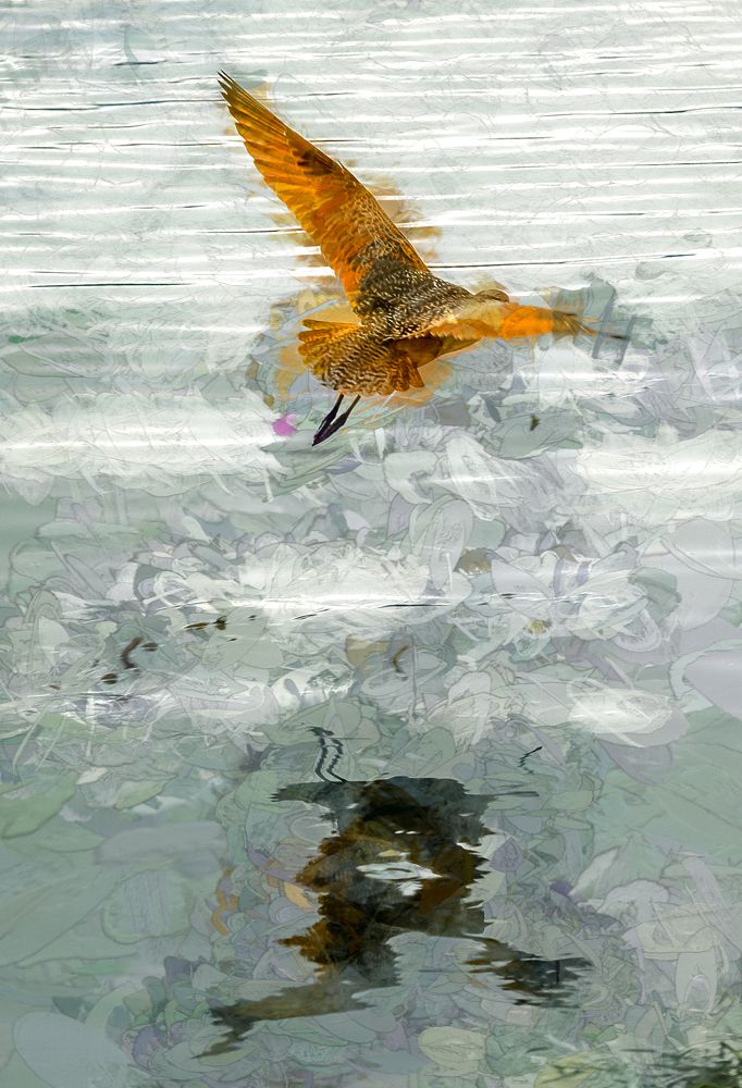 Photograph by Moe manouchehri