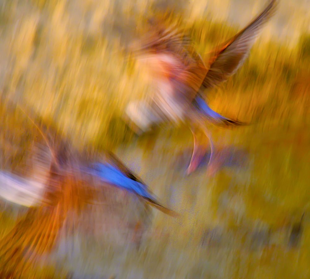 Photograph by Moe manouchehri