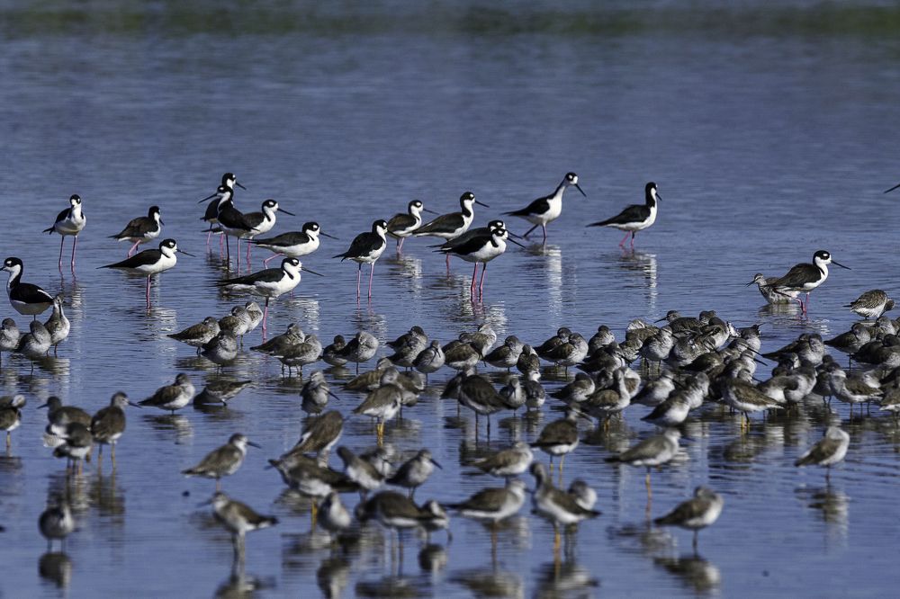 Photograph by Arismendy Ferreras