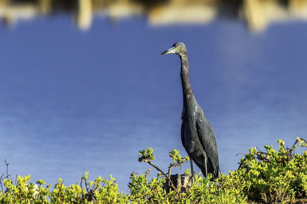 Photograph by Arismendy Ferreras