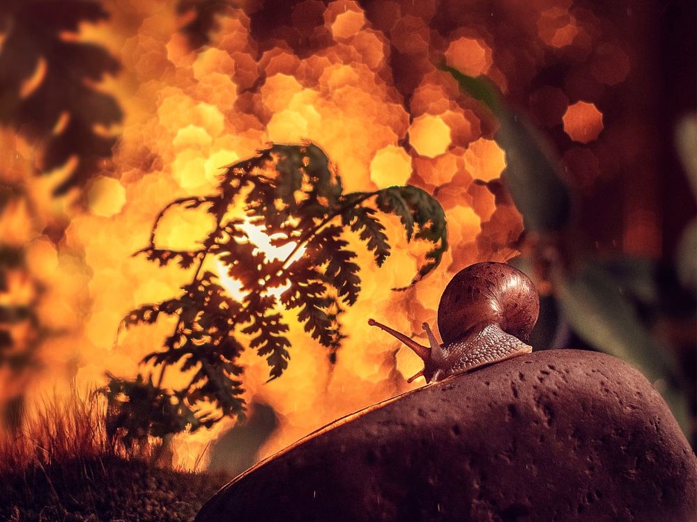 Photograph by Rogozina Olga