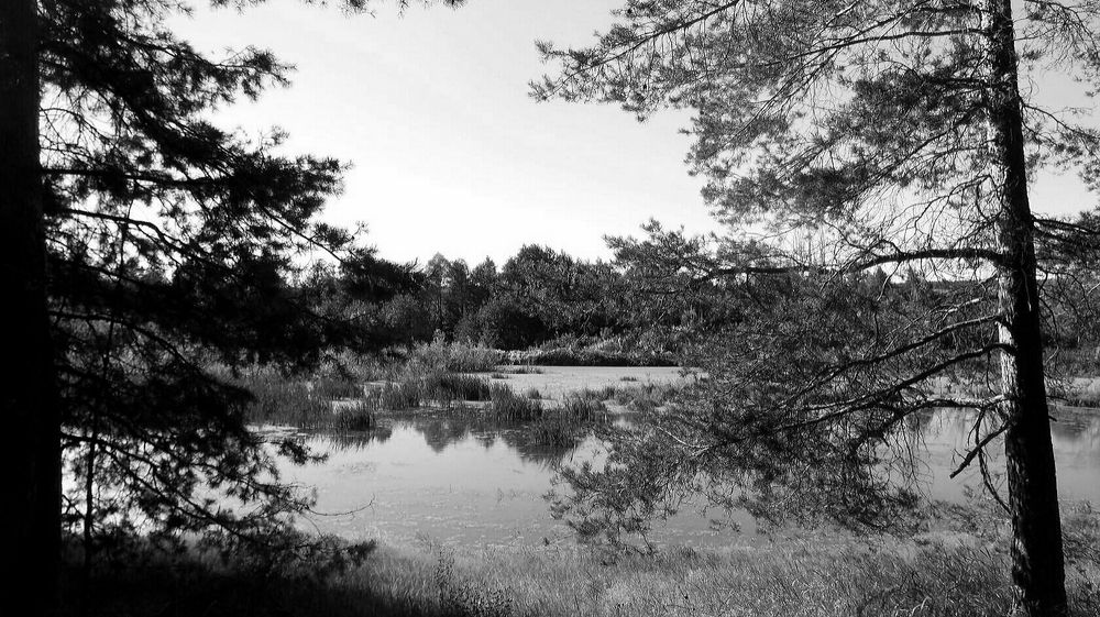 Фотография автора Павел Попов