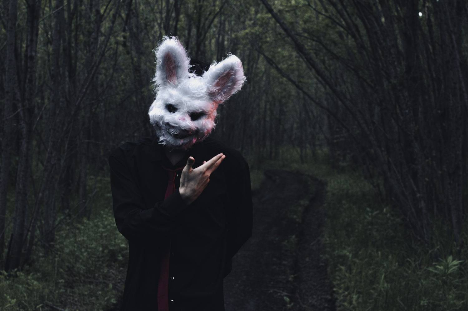 Photo #7759968