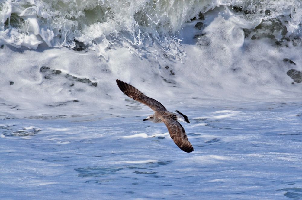 Photograph by Наталья Иванова