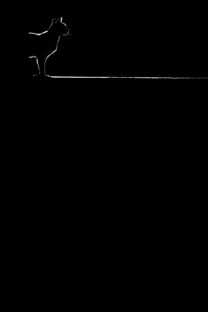 Photograph by khai nguyen tuan