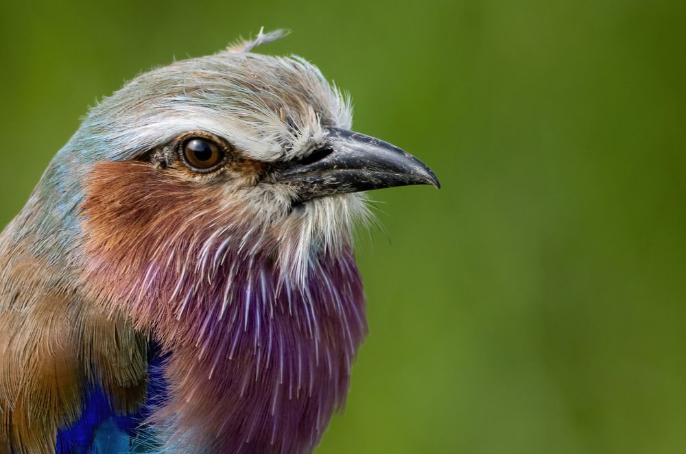 Photograph by Sergey Puponin