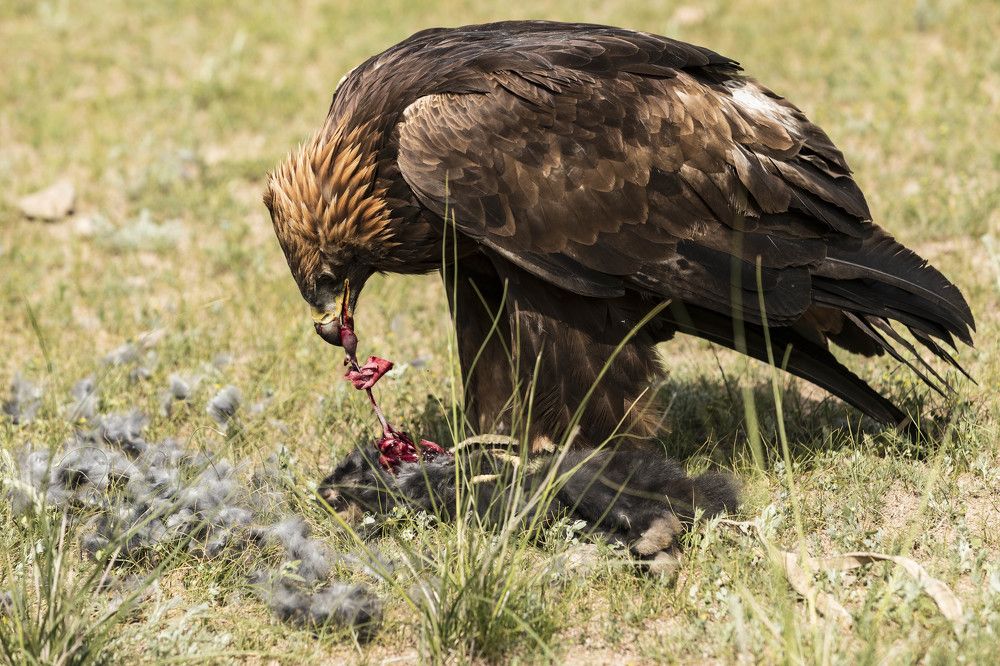 Photograph by klara Neikov