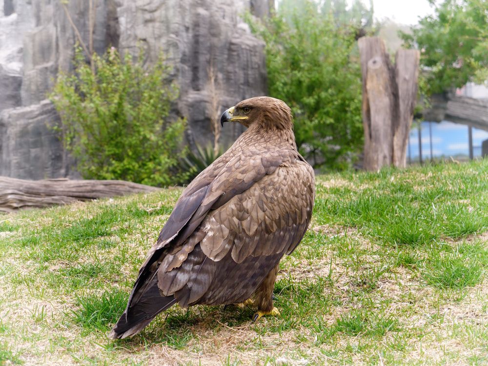 Photograph by Marina David