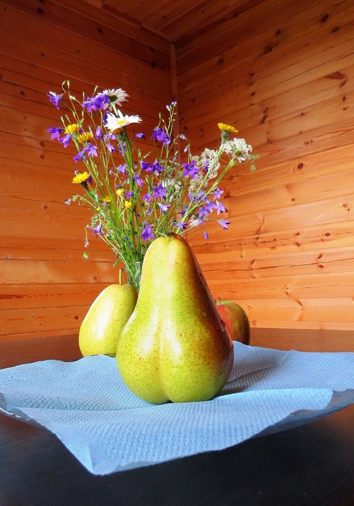 Photograph by Елена