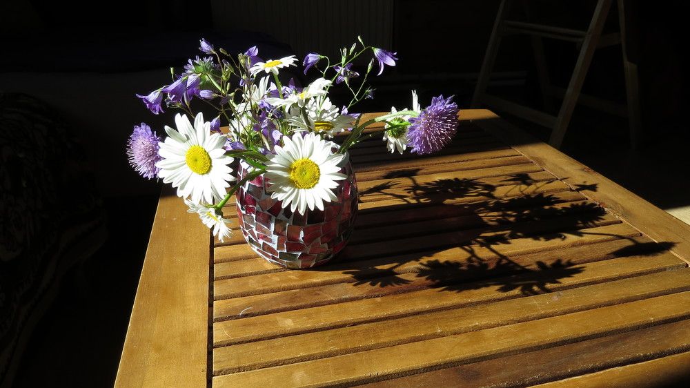 Photograph by Елена