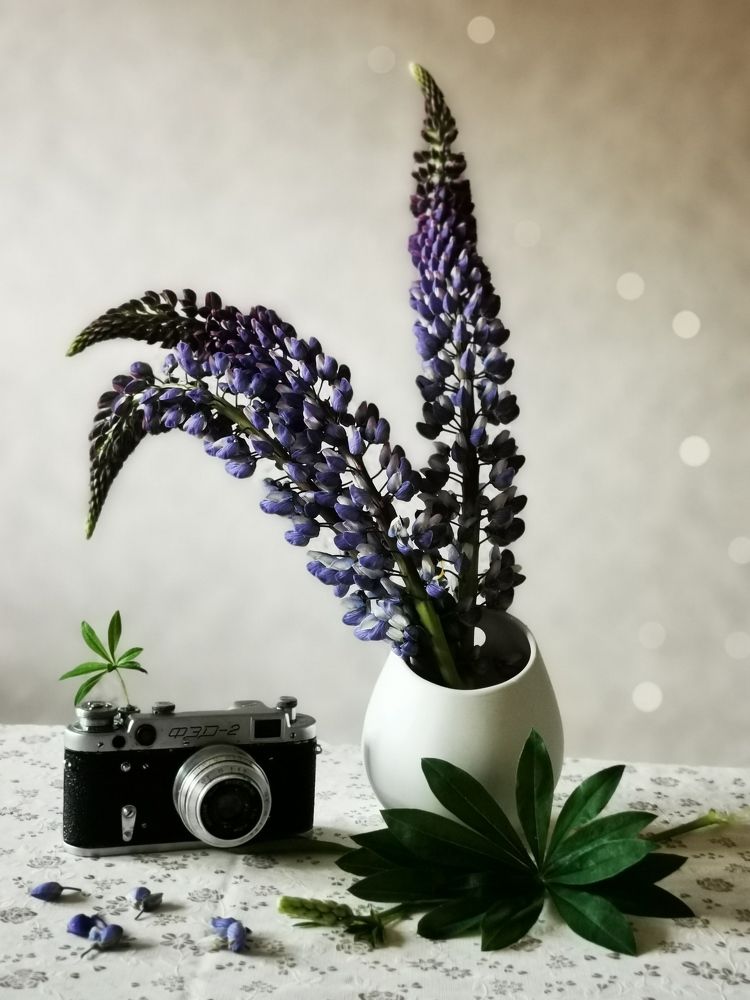 Photograph by Анна Брылева