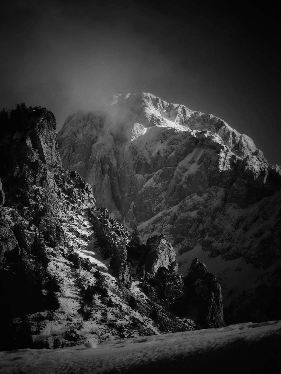 Photo #7760344