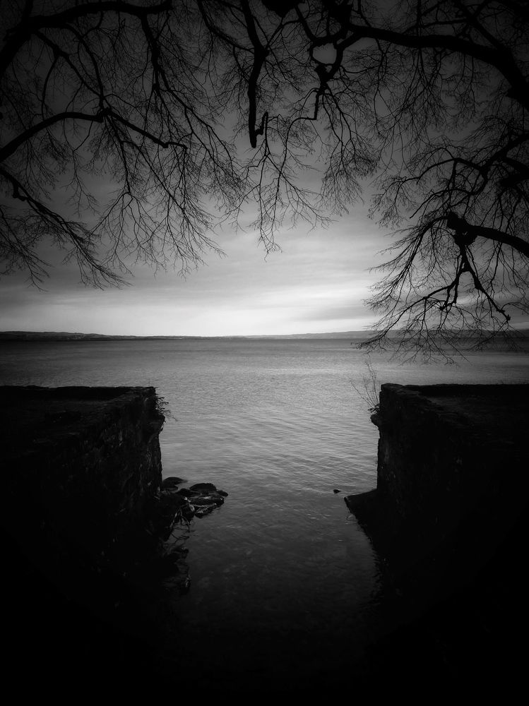 Photograph by Francois Baratay