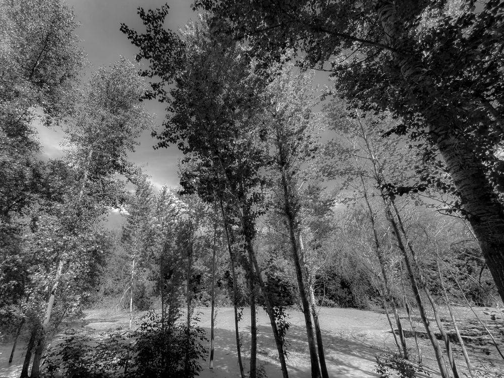 Photograph by Агарков Алексей